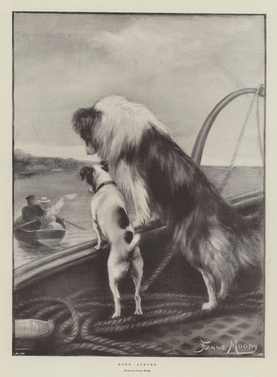 Desembarcado de Fannie Moody